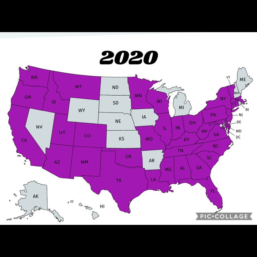 2026 Sales ~ LET’S GO!!!!! 💛🖤💛 - Picture 7 of 7